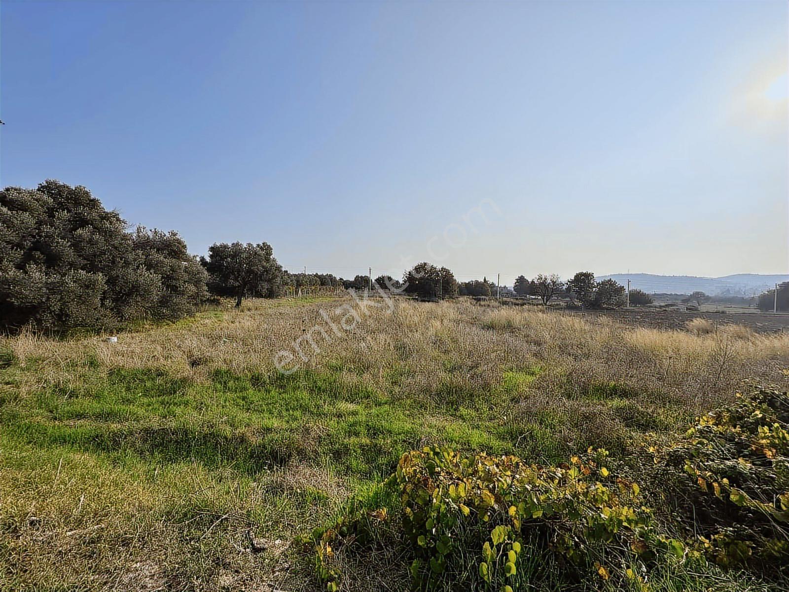 Çeşme Ovacık Musalla Mahallesinde 3482 M2 Yatırımlık Tarla — fotoğraf 4