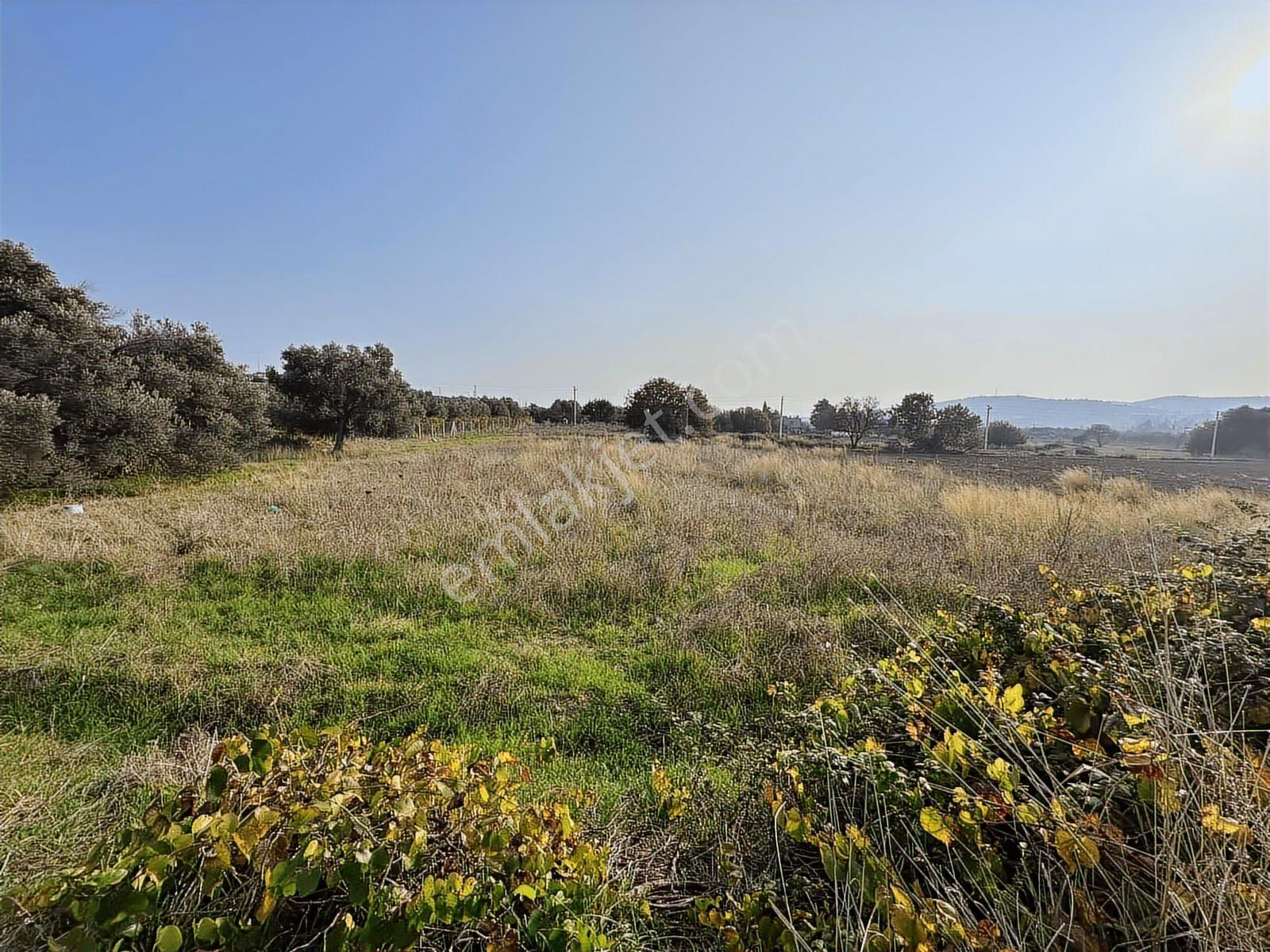 Çeşme Ovacık Musalla Mahallesinde 3482 M2 Yatırımlık Tarla — fotoğraf 5