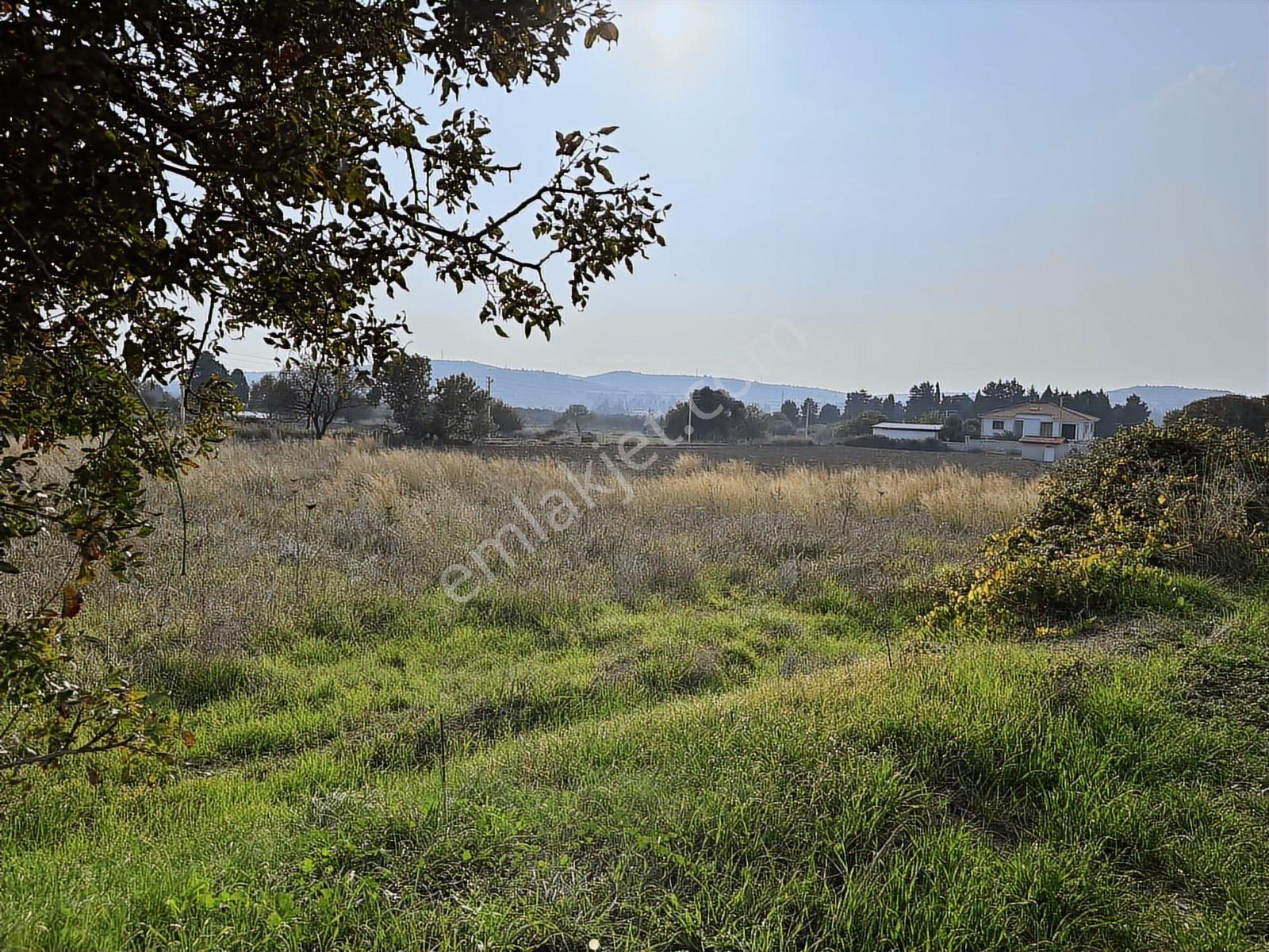 Çeşme Ovacık Musalla Mahallesinde 3482 M2 Yatırımlık Tarla — fotoğraf 6