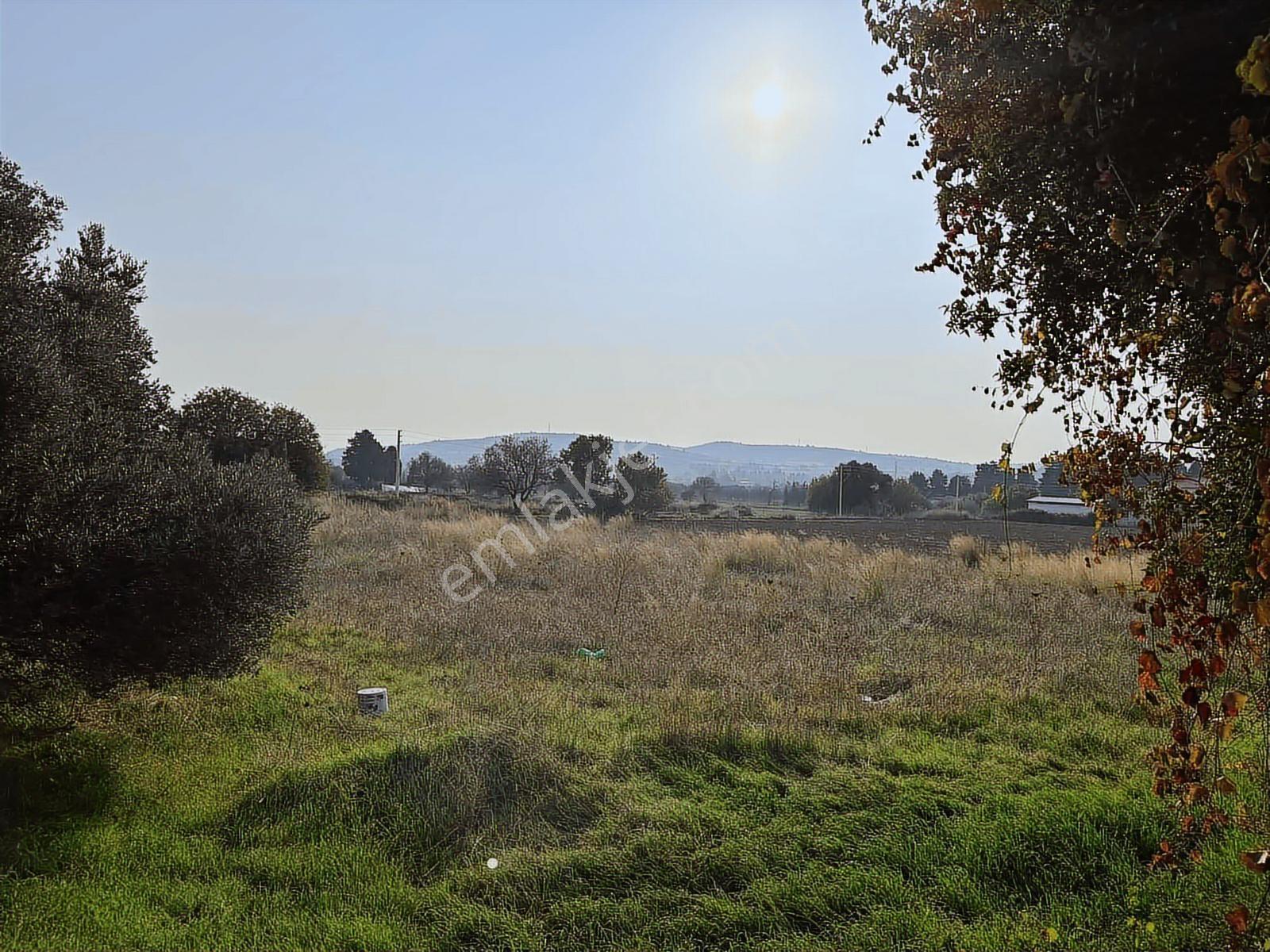 Çeşme Ovacık Musalla Mahallesinde 3482 M2 Yatırımlık Tarla — fotoğraf 7