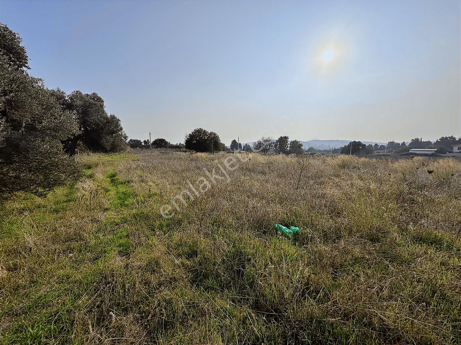 Çeşme Ovacık Musalla Mahallesinde 3482 M2 Yatırımlık Tarla — fotoğraf 9