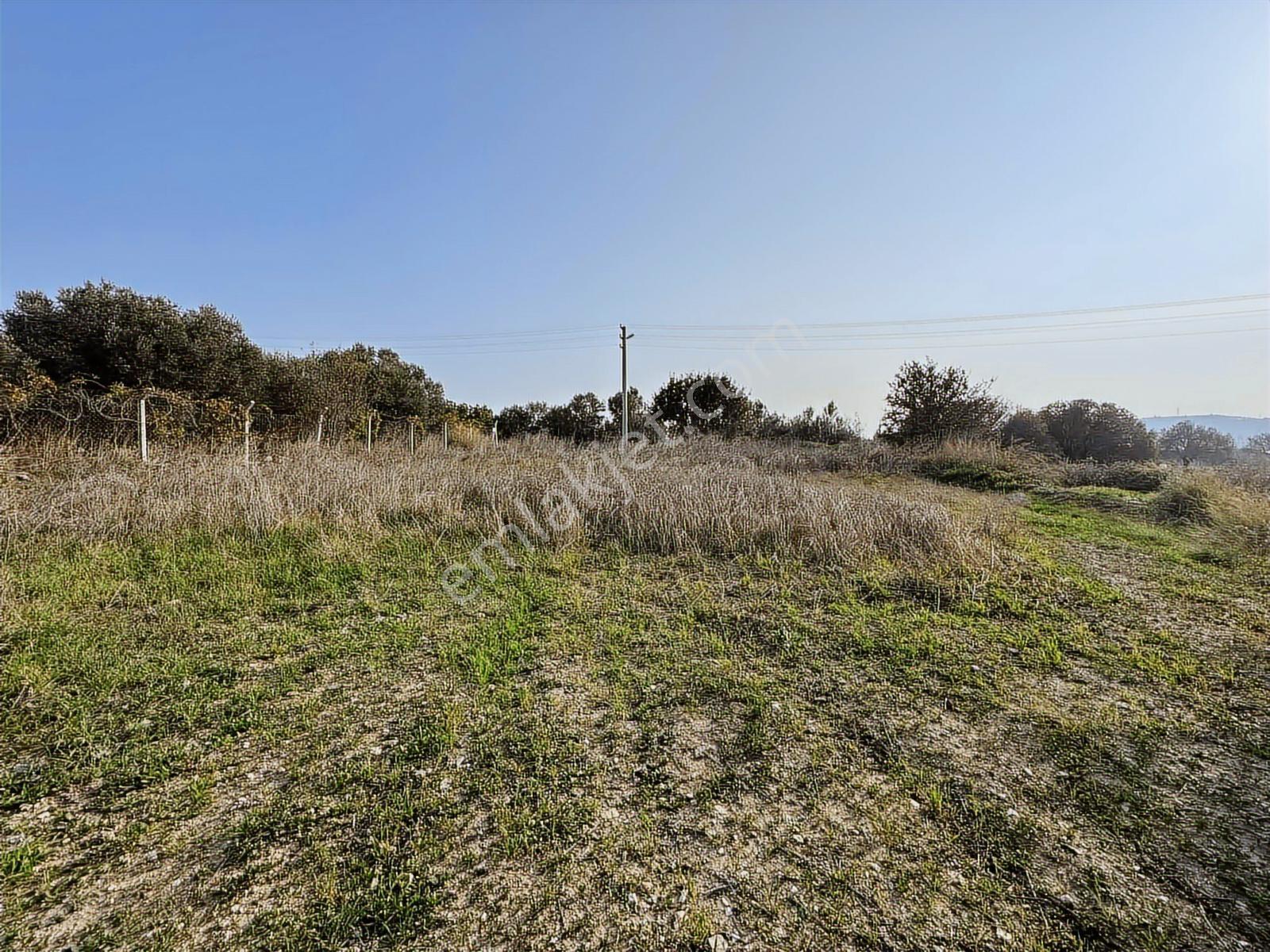 Çeşme Ovacık Musalla Mahallesinde 3482 M2 Yatırımlık Tarla — fotoğraf 10