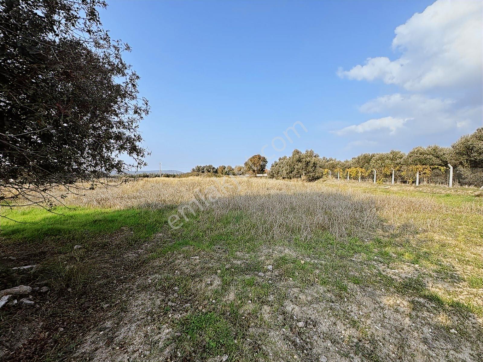 Çeşme Ovacık Musalla Mahallesinde 3482 M2 Yatırımlık Tarla — fotoğraf 11