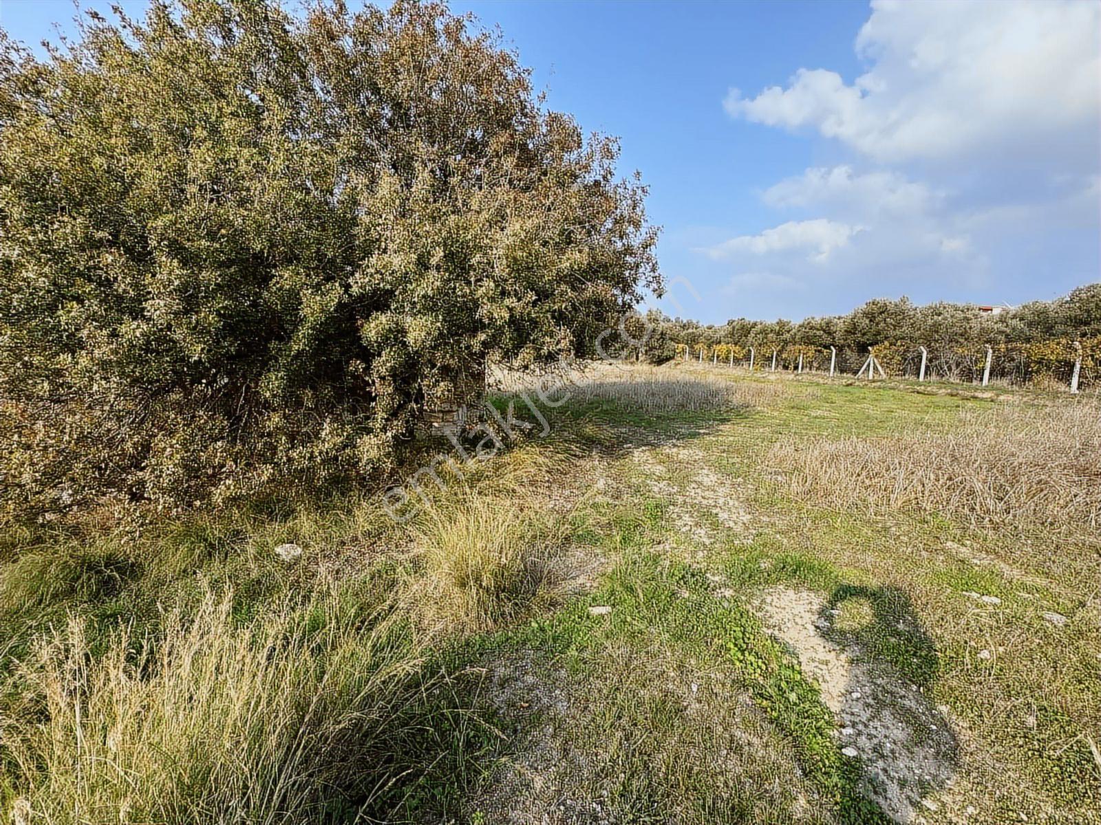 Çeşme Ovacık Musalla Mahallesinde 3482 M2 Yatırımlık Tarla — fotoğraf 12