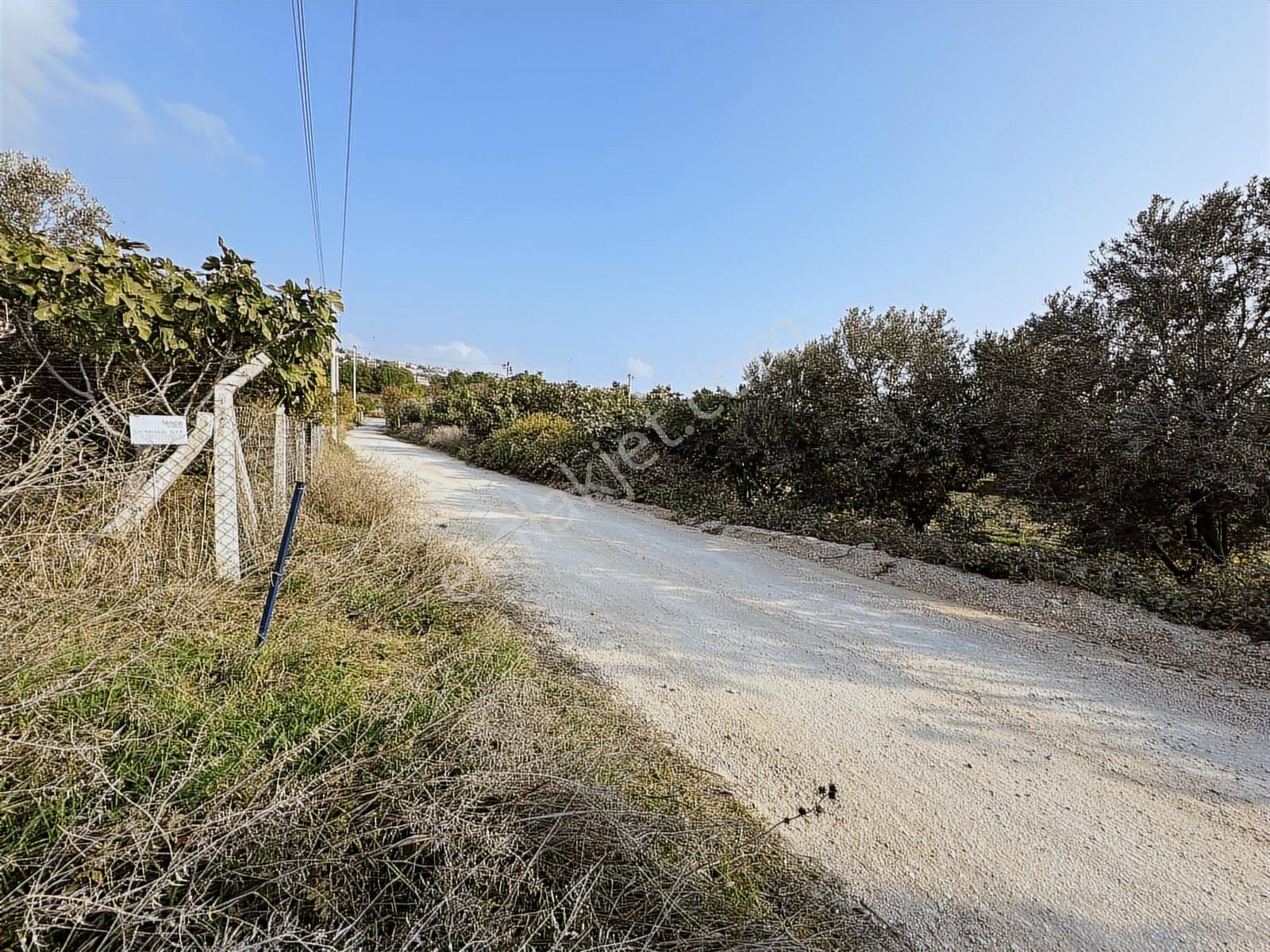 Çeşme Ovacık Musalla Mahallesinde 3482 M2 Yatırımlık Tarla — fotoğraf 13