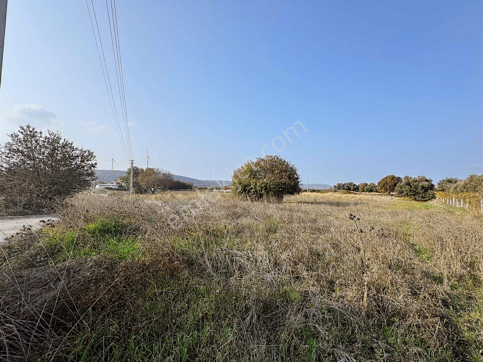 Çeşme Ovacık Musalla Mahallesinde 3482 M2 Yatırımlık Tarla — fotoğraf 14