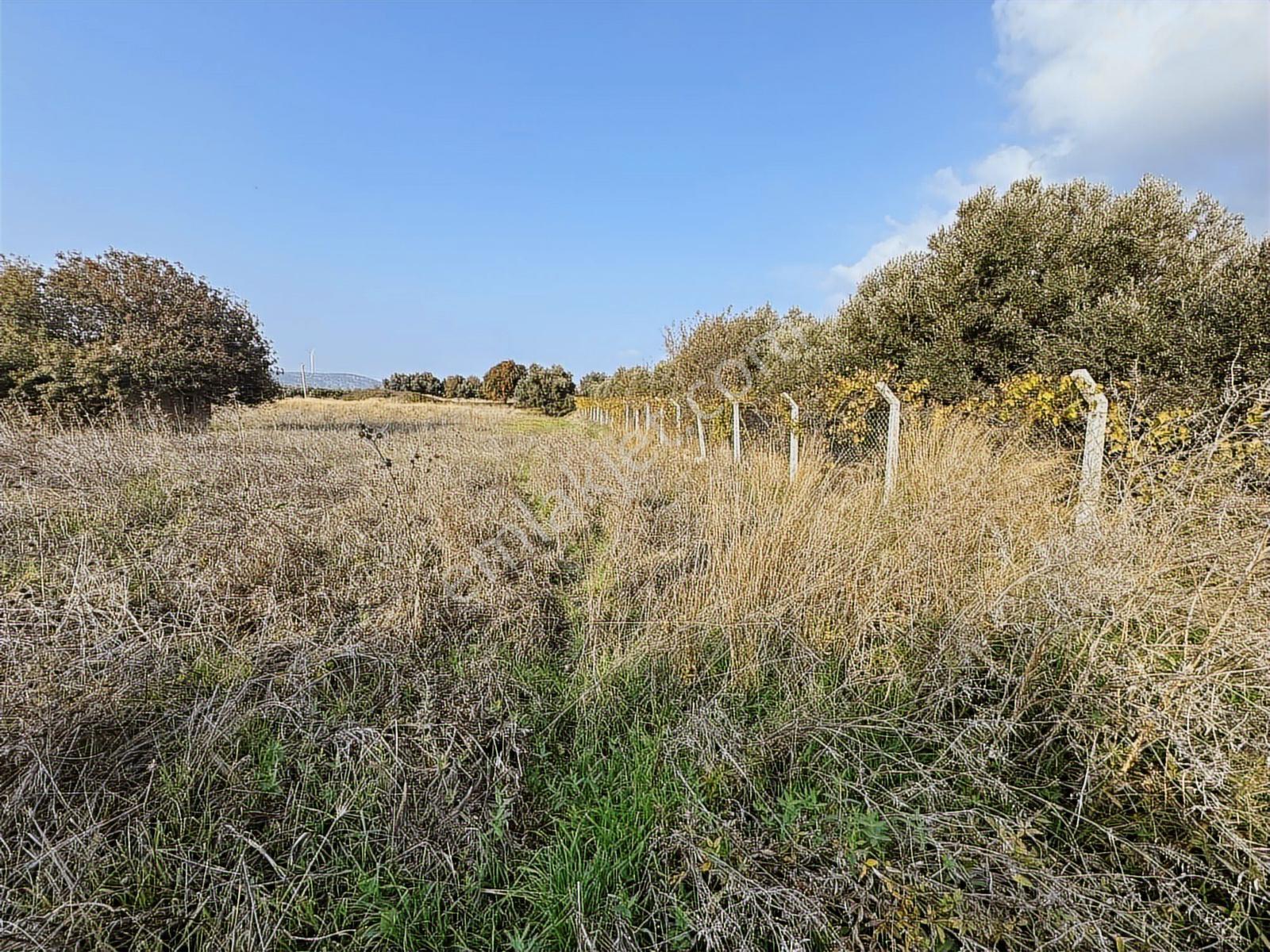 Çeşme Ovacık Musalla Mahallesinde 3482 M2 Yatırımlık Tarla — fotoğraf 15