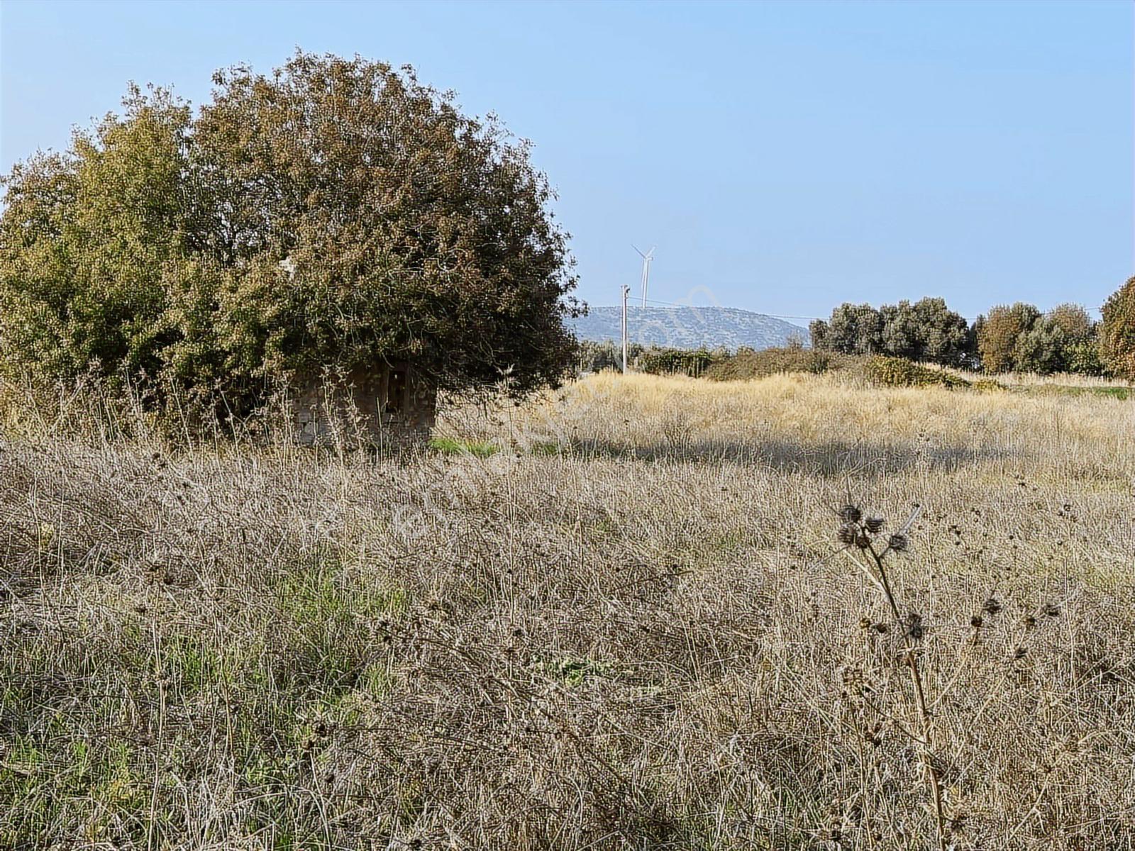 Çeşme Ovacık Musalla Mahallesinde 3482 M2 Yatırımlık Tarla — fotoğraf 16