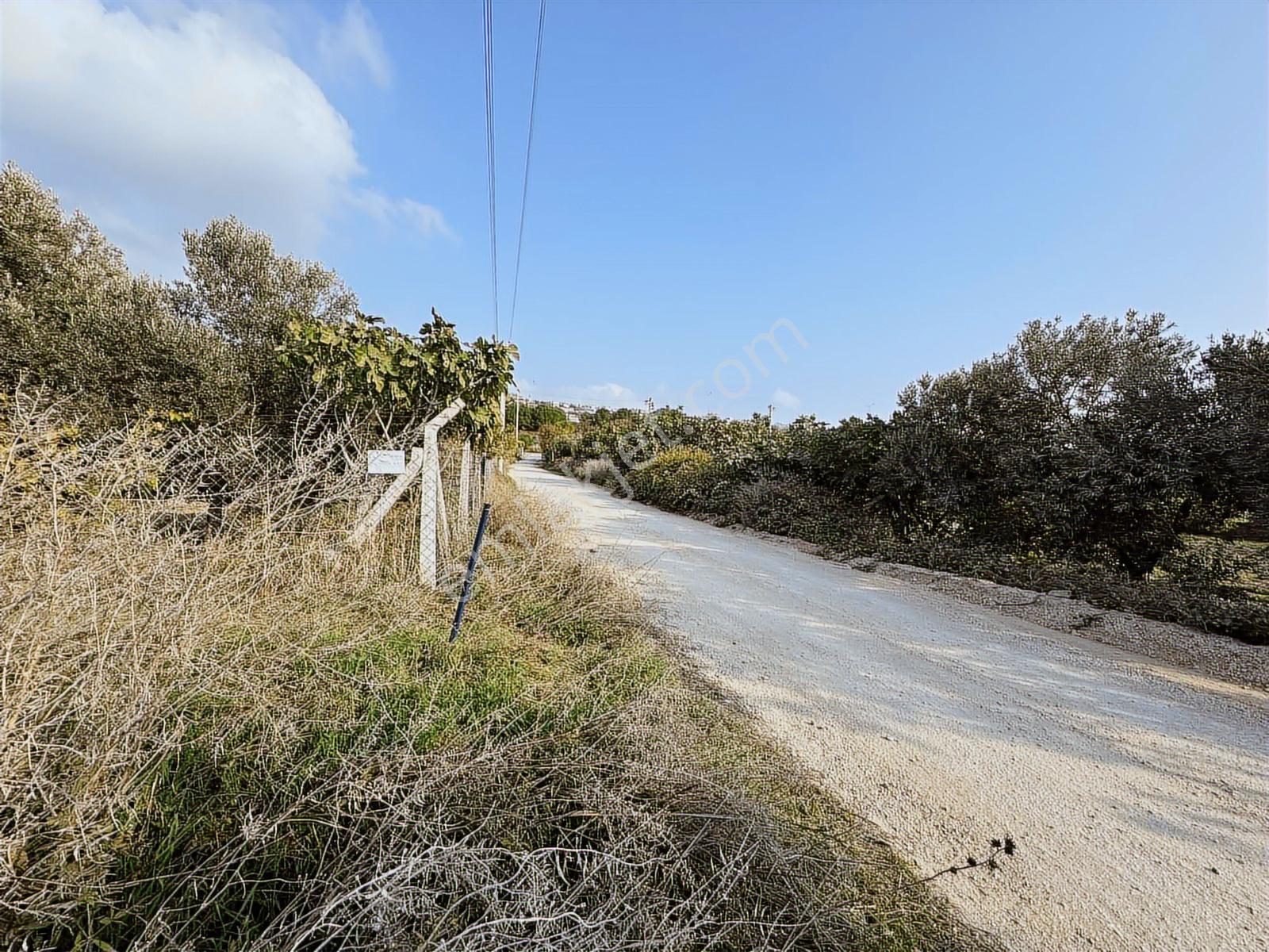 Çeşme Ovacık Musalla Mahallesinde 3482 M2 Yatırımlık Tarla — fotoğraf 17