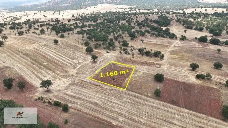 Güneysınır Kızılöz Mahallesinde 1.160 M² Müstaki Tapulu Tarla — fotoğraf 3