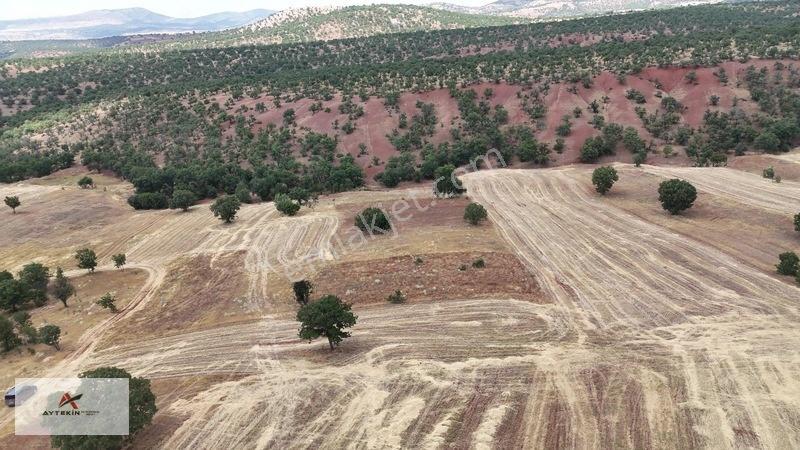 Güneysınır Kızılöz Mahallesinde 1.160 M² Müstaki Tapulu Tarla — fotoğraf 5