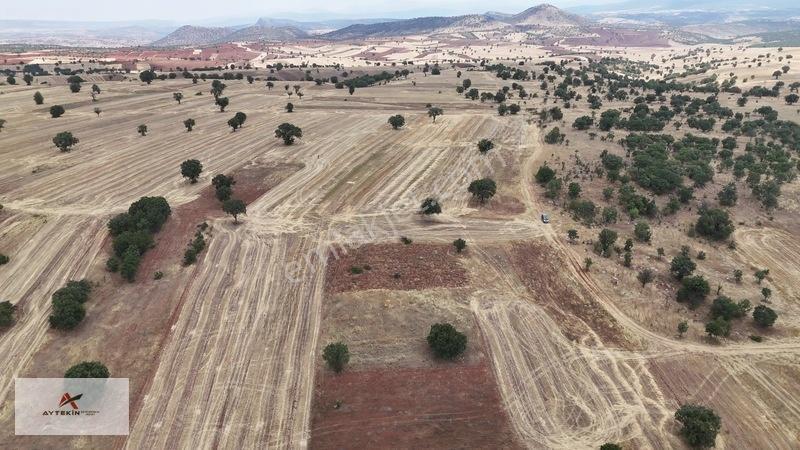 Güneysınır Kızılöz Mahallesinde 1.160 M² Müstaki Tapulu Tarla — fotoğraf 7
