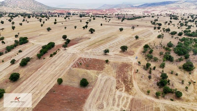 Güneysınır Kızılöz Mahallesinde 1.160 M² Müstaki Tapulu Tarla — fotoğraf 8