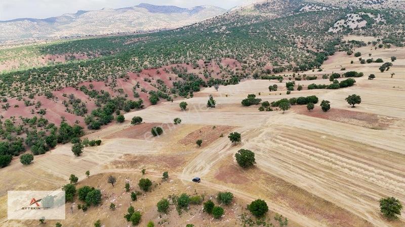 Güneysınır Kızılöz Mahallesinde 1.160 M² Müstaki Tapulu Tarla — fotoğraf 10