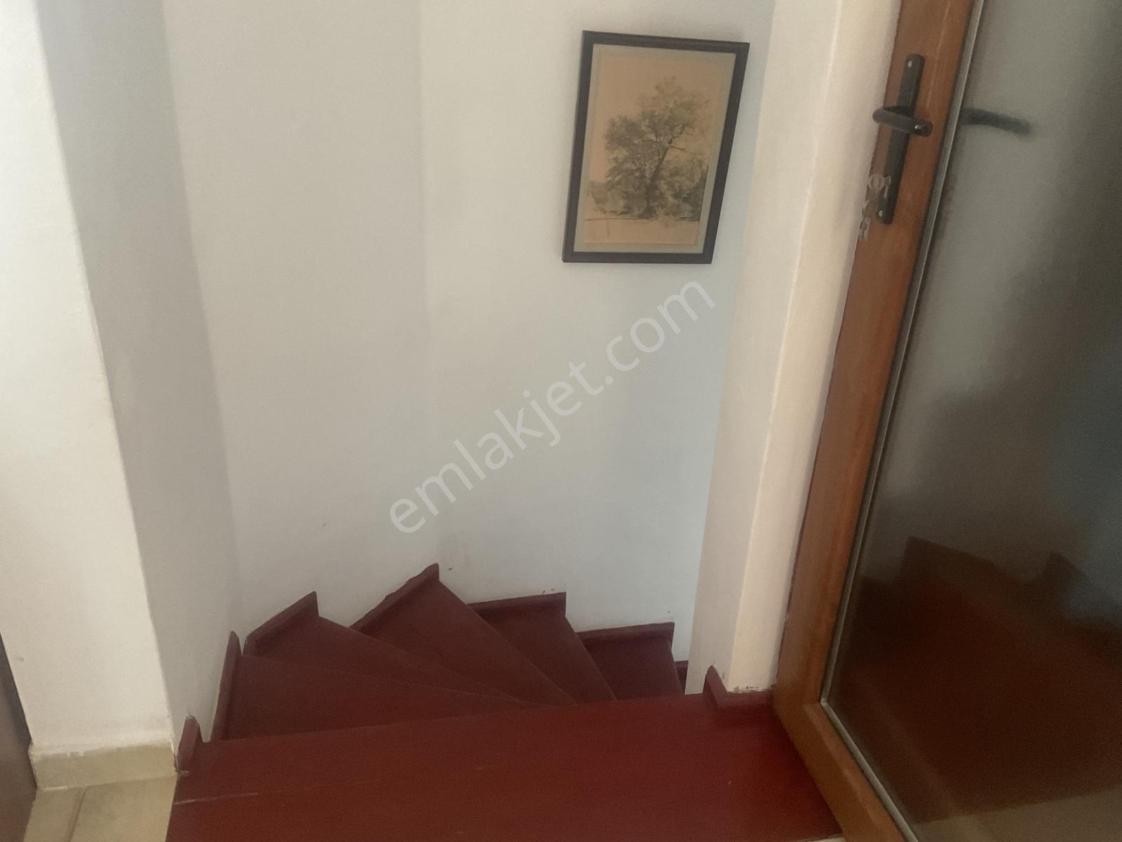 Yalıkavak A Yakın Muhteşem Deniz Orman Manzaralı Villa Müstakil — fotoğraf 16