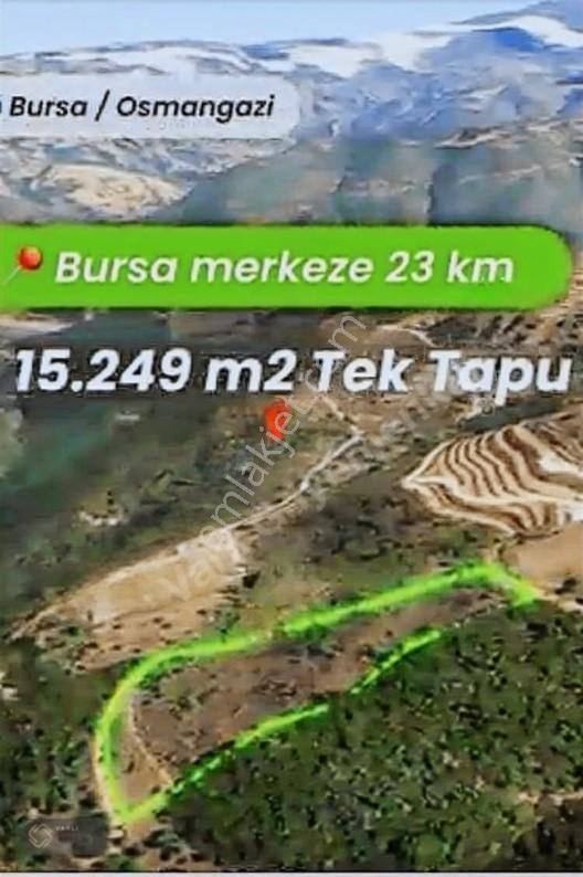 Bursa Osmangazi Uluçam'Da Yola Cephe 15.249 M2 Satılıktır