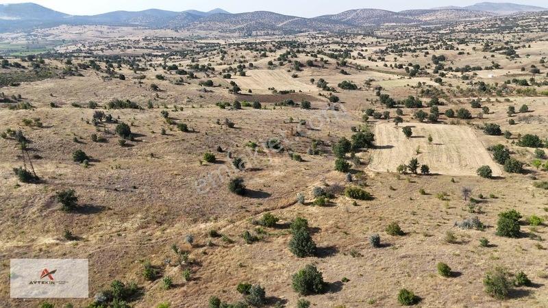 Küçük Bütçeyle Kendi Toprağın Olsun! Üstelik Yola Sıfır — fotoğraf 4