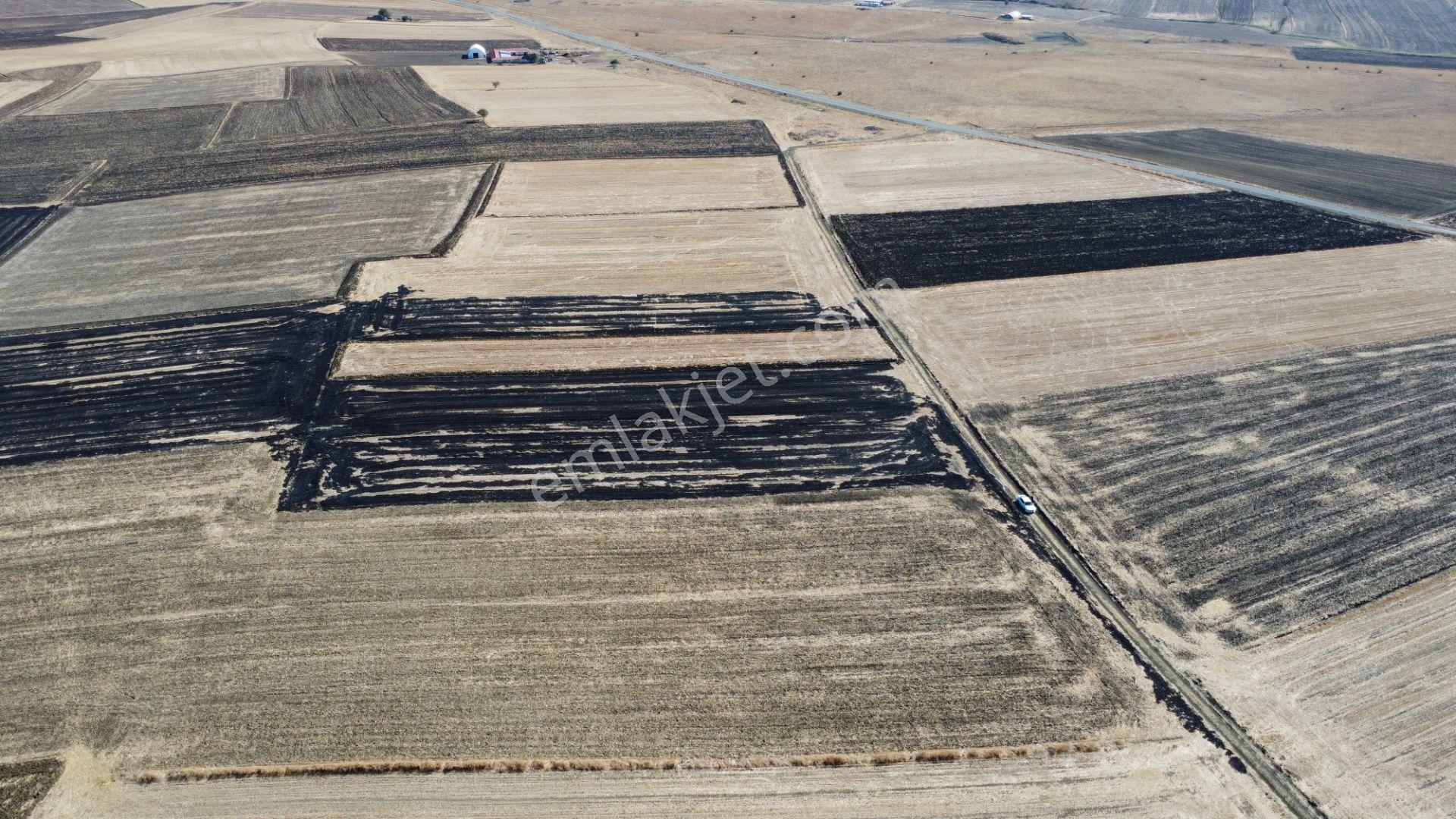 İpsala Hacı Köyü'nde Resmi Yollu 3032 M² Satılık Tarla — fotoğraf 24