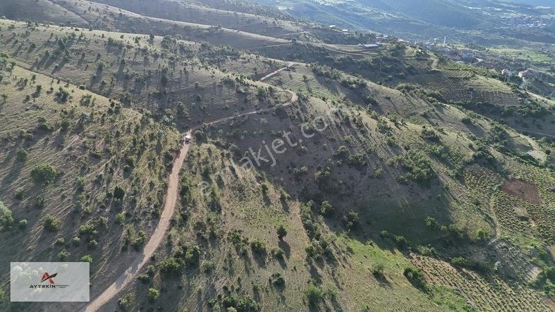 Hadim Göynükkışla'da Eşsiz Doğa Manzaralı 1.707 M² Tarla — fotoğraf 15