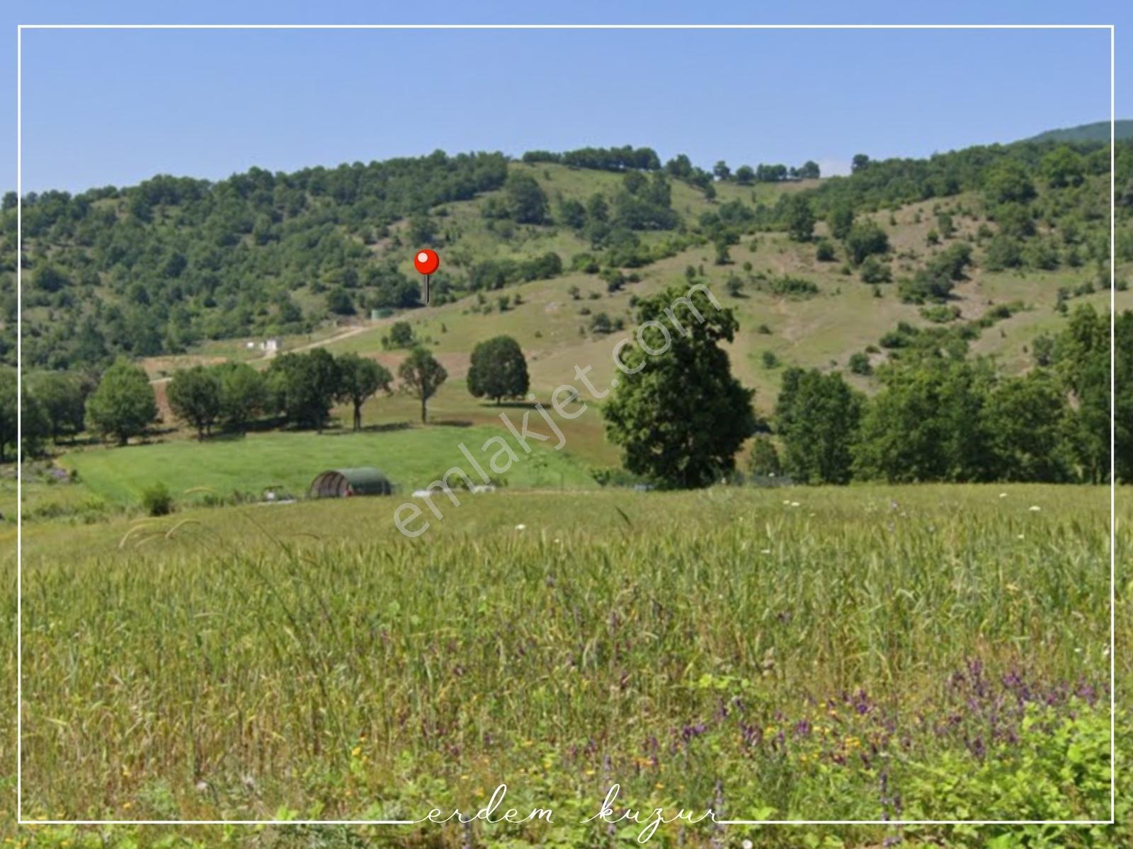 Bursa Kestel Nüzhetiye'de Satılık Arazi — fotoğraf 3