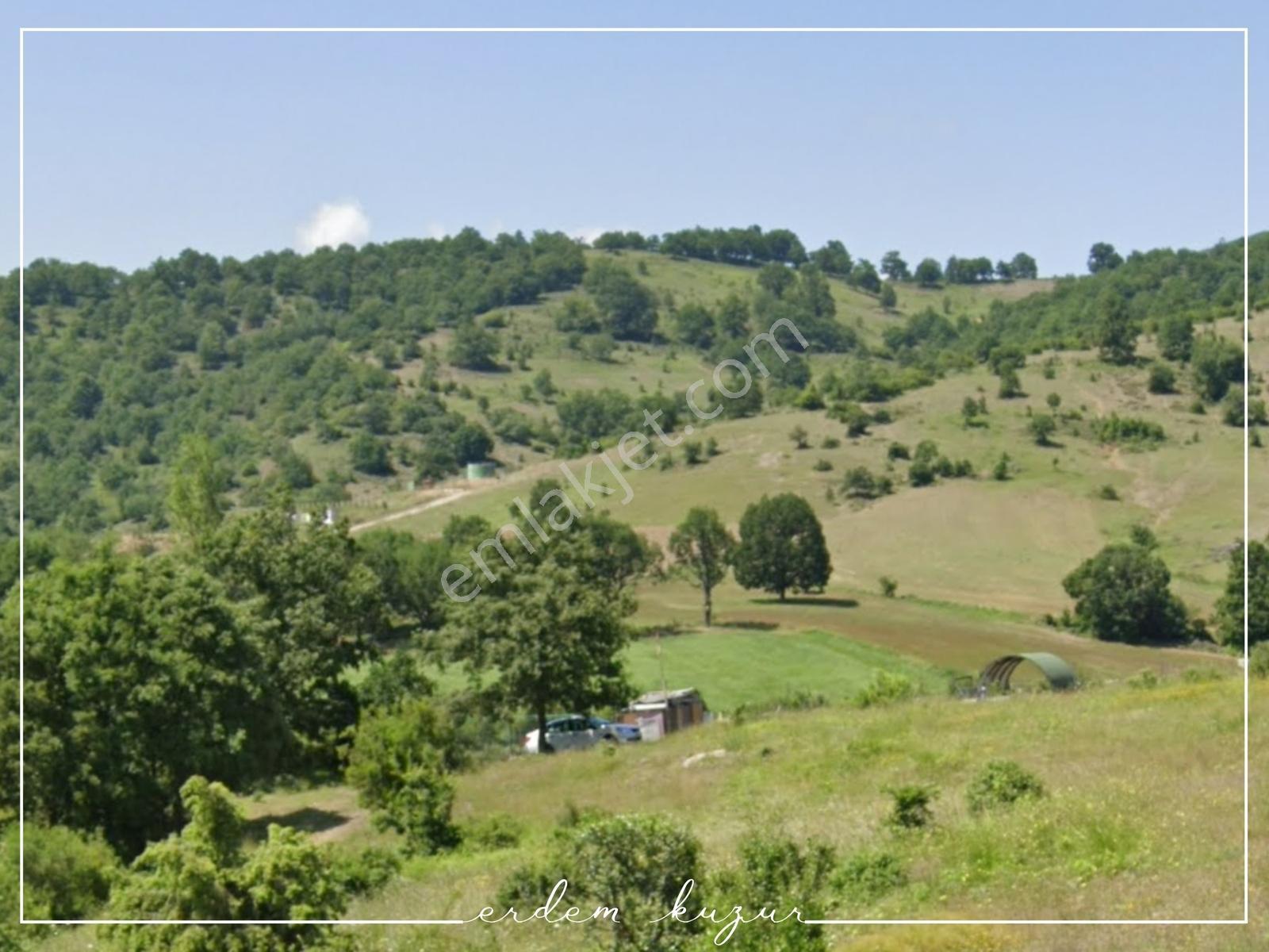 Bursa Kestel Nüzhetiye'de Satılık Arazi — fotoğraf 5