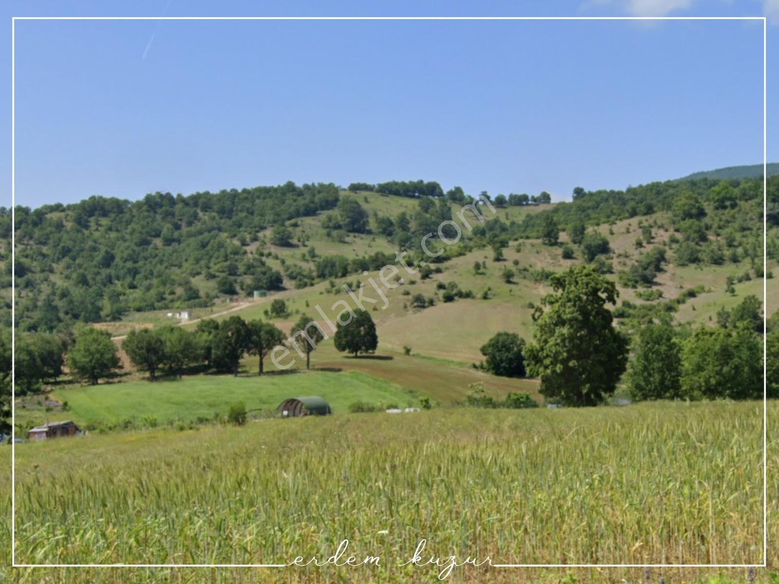 Bursa Kestel Nüzhetiye'de Satılık Arazi — fotoğraf 9