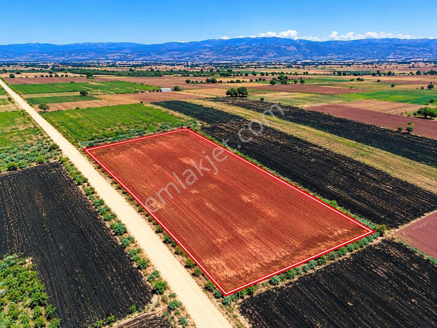 Acil Satılık Tavas Kızılcabölük'te 5638m2 Tarla — fotoğraf 2