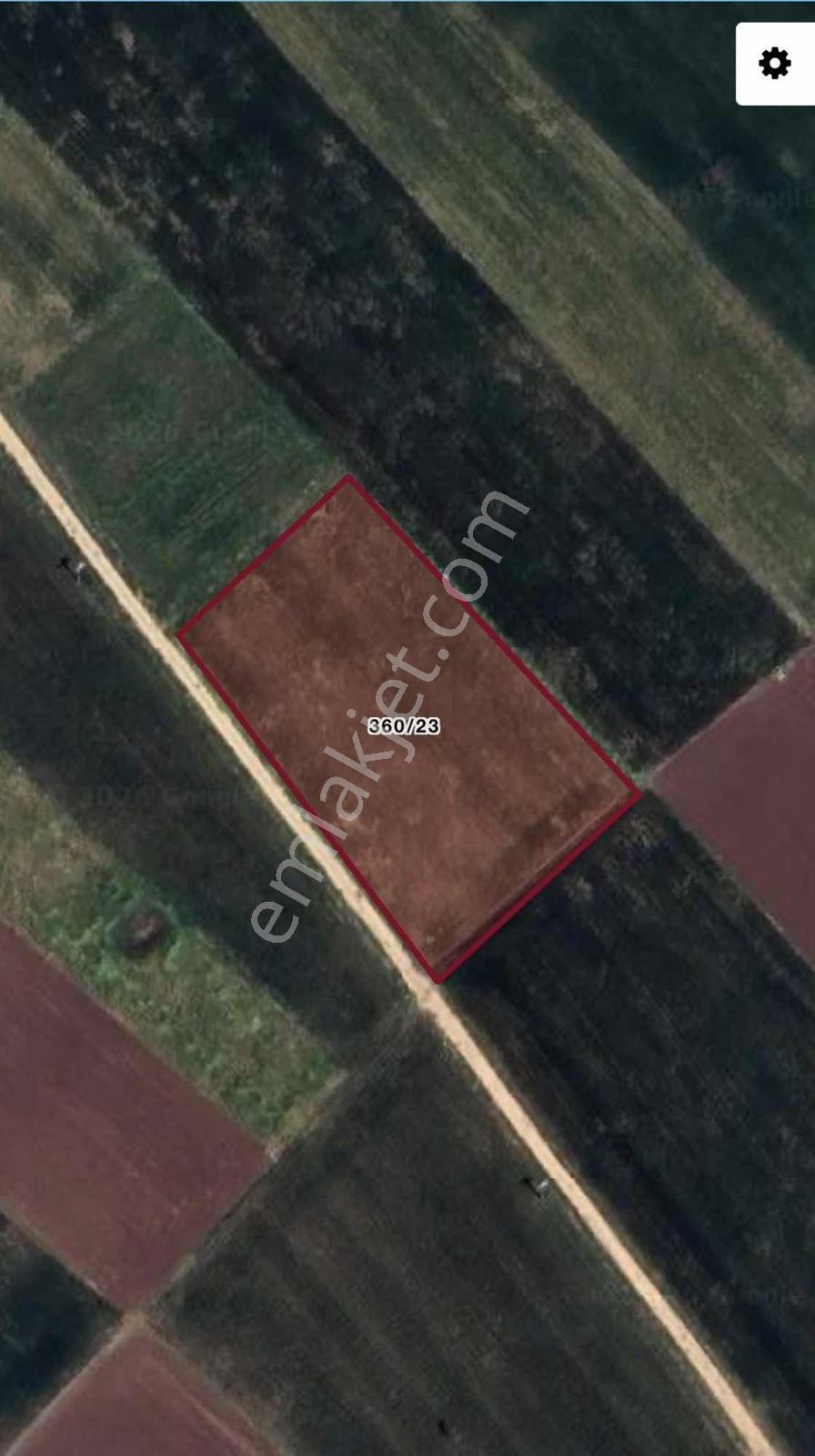 Acil Satılık Tavas Kızılcabölük'te 5638m2 Tarla — fotoğraf 3