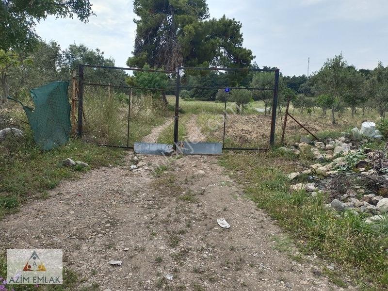 Kırıklarda Satılık Tarla — fotoğraf 2