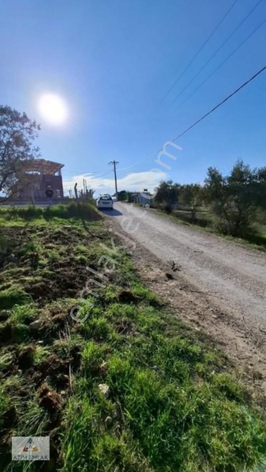 Kırıklarda Satılık Tarla — fotoğraf 3