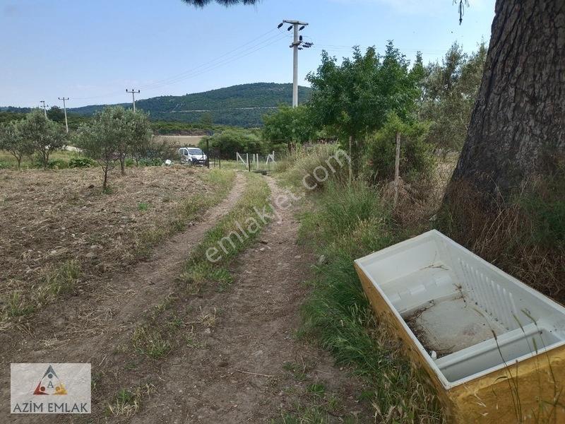 Kırıklarda Satılık Tarla — fotoğraf 7