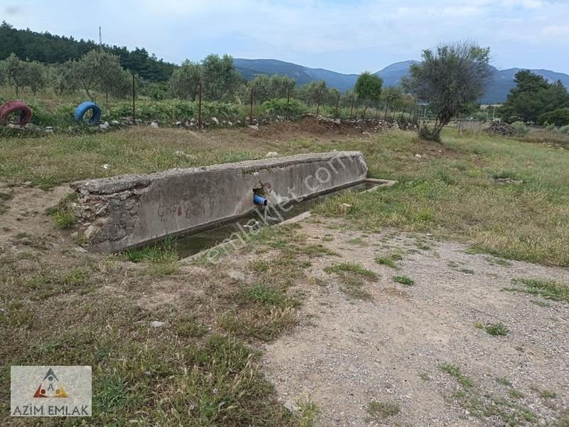 Kırıklarda Satılık Tarla — fotoğraf 12