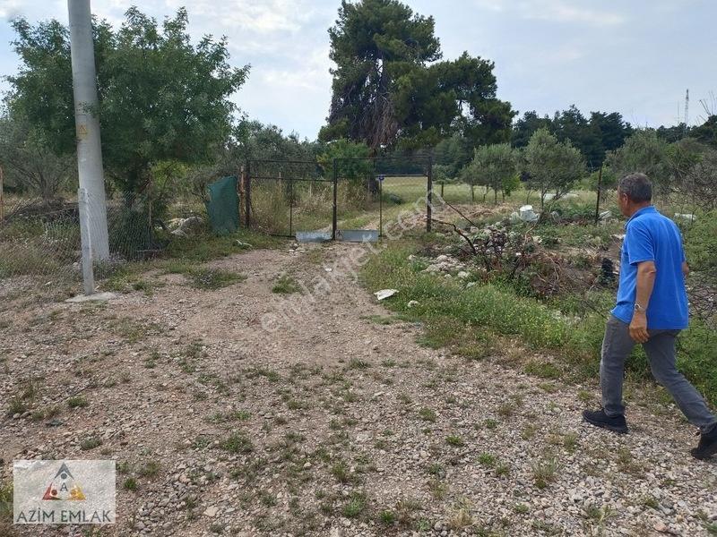 Kırıklarda Satılık Tarla — fotoğraf 13