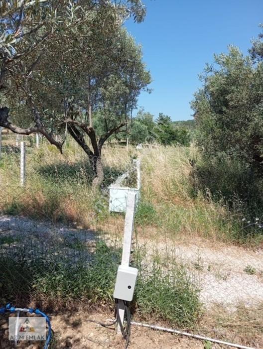 Torbalı Boz Köyünde Satılık Bahçe — fotoğraf 3