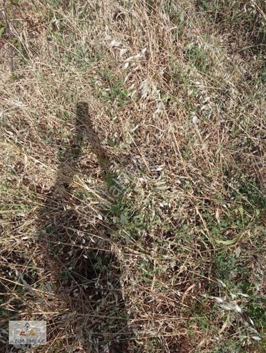 Torbalı Boz Köyünde Satılık Bahçe — fotoğraf 4