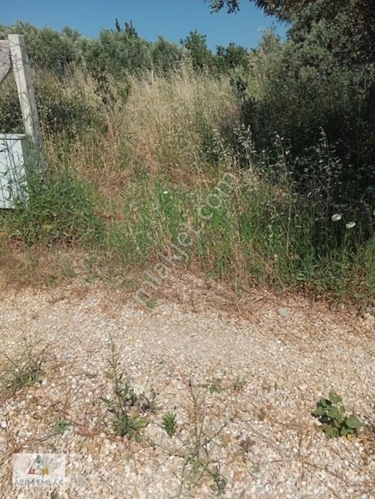 Torbalı Boz Köyünde Satılık Bahçe — fotoğraf 5
