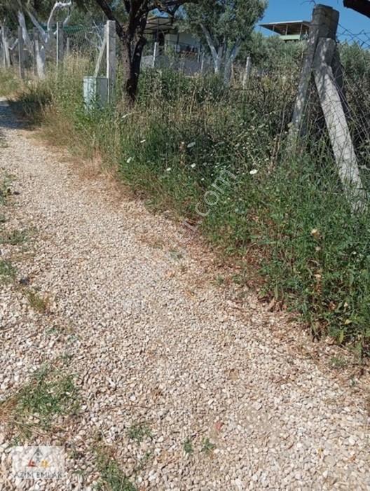 Torbalı Boz Köyünde Satılık Bahçe — fotoğraf 8