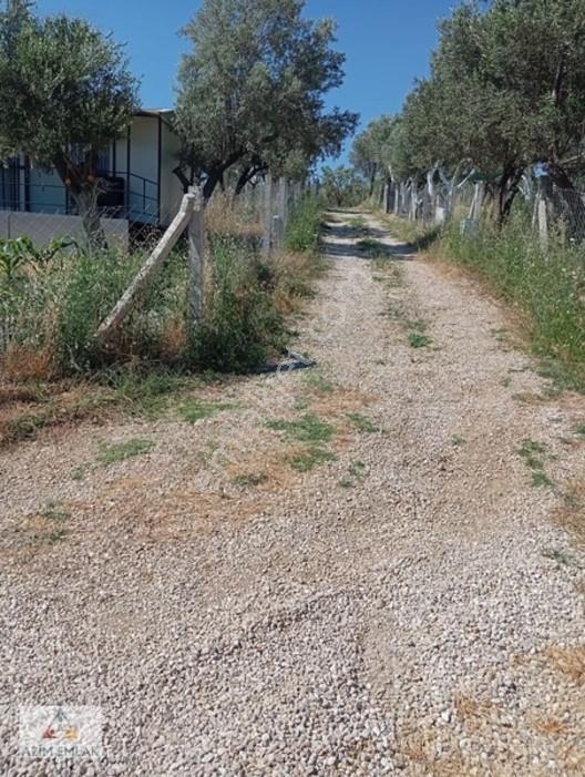 Torbalı Boz Köyünde Satılık Bahçe — fotoğraf 9