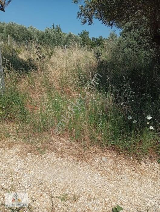 Torbalı Boz Köyünde Satılık Bahçe — fotoğraf 10