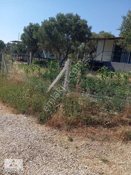 Torbalı Boz Köyünde Satılık Bahçe — fotoğraf 11