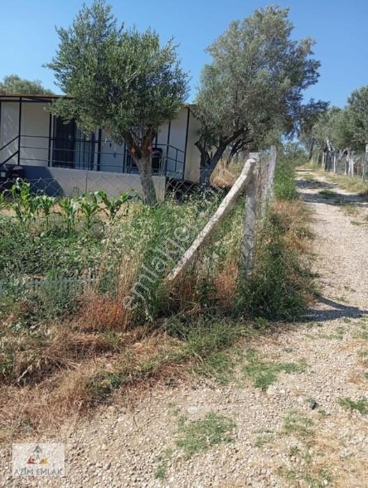 Torbalı Boz Köyünde Satılık Bahçe — fotoğraf 13