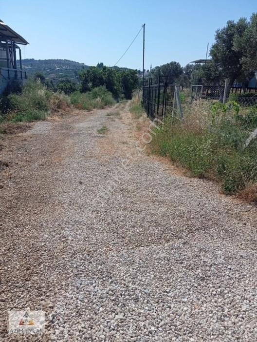 Torbalı Boz Köyünde Satılık Bahçe — fotoğraf 14