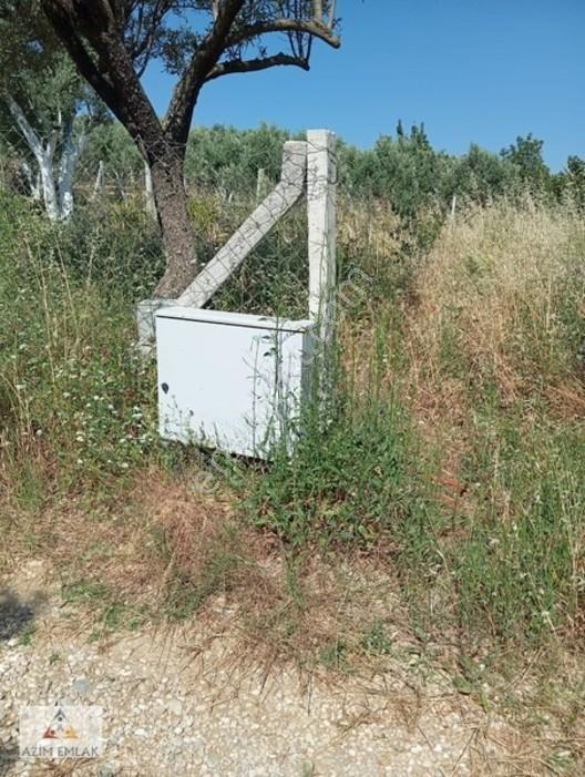 Torbalı Boz Köyünde Satılık Bahçe — fotoğraf 15