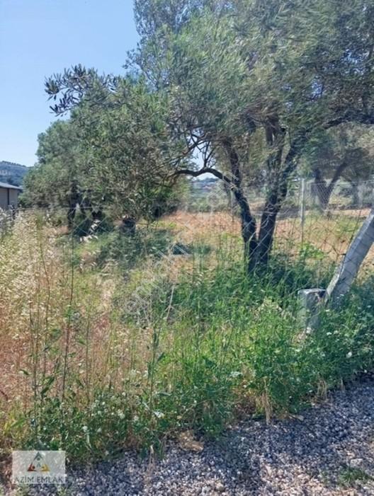 Torbalı Boz Köyünde Satılık Bahçe — fotoğraf 18