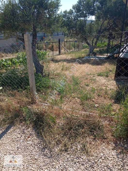 Torbalı Boz Köyünde Satılık Bahçe — fotoğraf 19