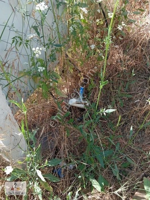 Torbalı Boz Köyünde Satılık Bahçe — fotoğraf 21