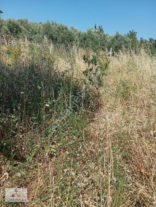 Torbalı Boz Köyünde Satılık Bahçe — fotoğraf 22