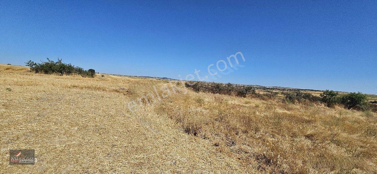 Taşlısekban Köyün'de 7.172 M2 Meraya Komşu — fotoğraf 2