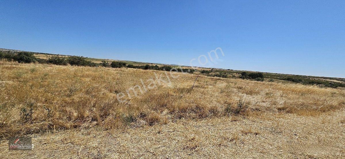 Taşlısekban Köyün'de 7.172 M2 Meraya Komşu — fotoğraf 3