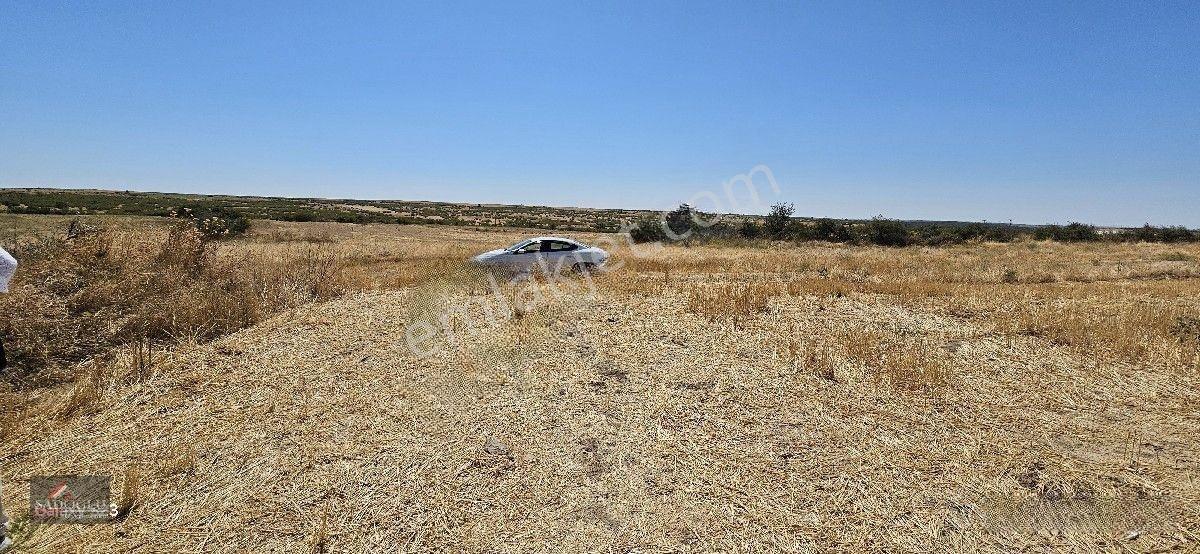 Taşlısekban Köyün'de 7.172 M2 Meraya Komşu — fotoğraf 4